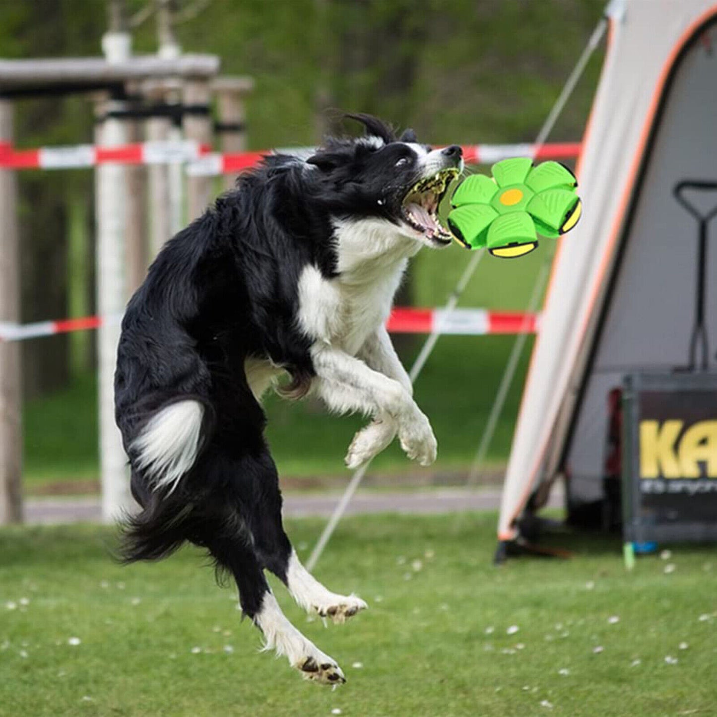 Glow-Up Doggie Disc Ball | Ultimate Flying Saucer Toy for Dogs | Light-Up Fun Fetch & Play!